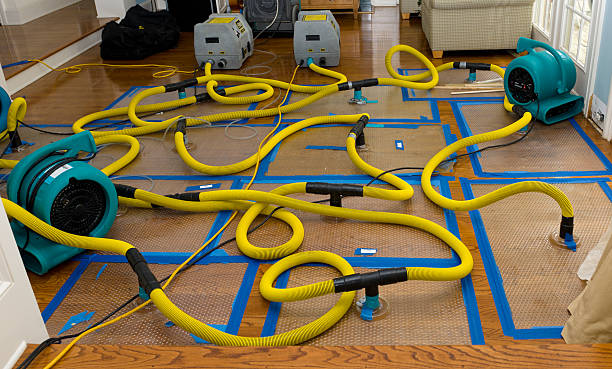 Professional Structural Drying And Dehumidification technician working in Kinney, MN